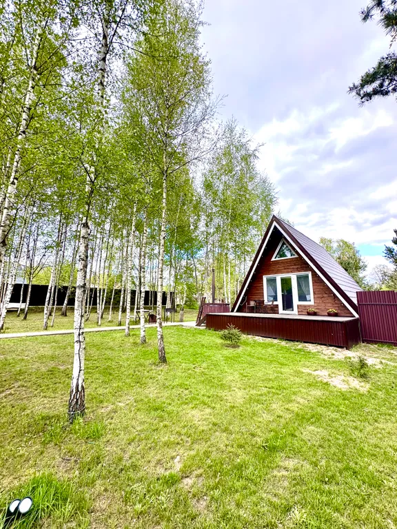 Уютный Афрейм в лесной деревушке под Минском