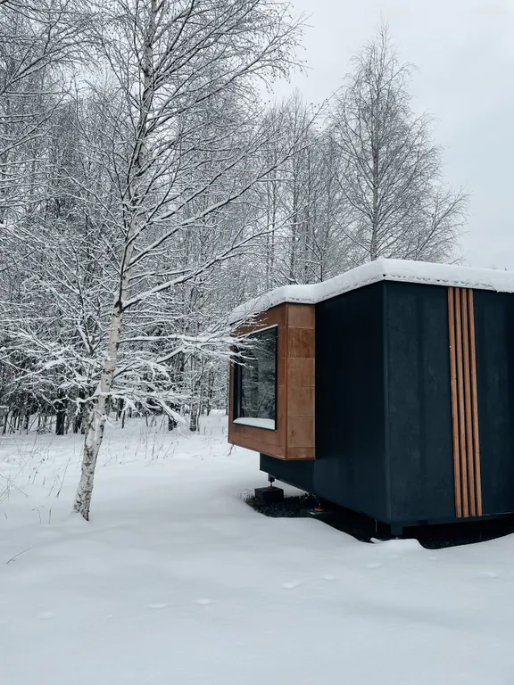 Глэмпинг Папоротник