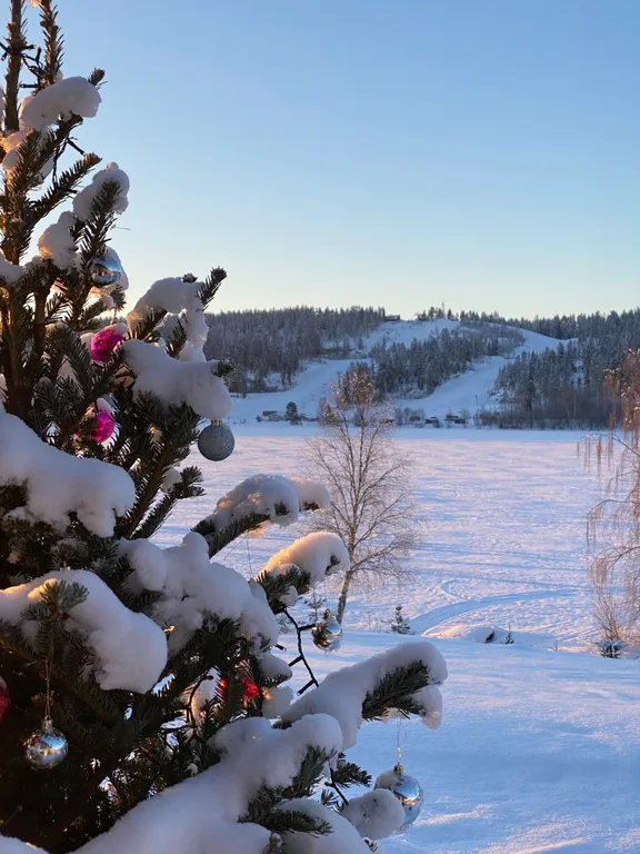 Коттедж Коттедж на берегу озера с видом на горнолыжный курорт и сауной внутри — Заозерный
