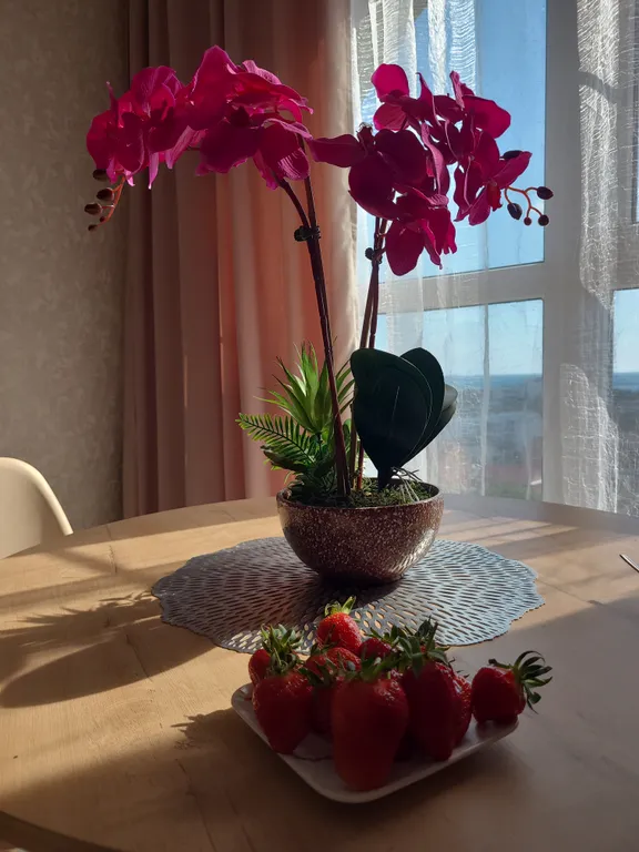 Великолепный вид на море и горы