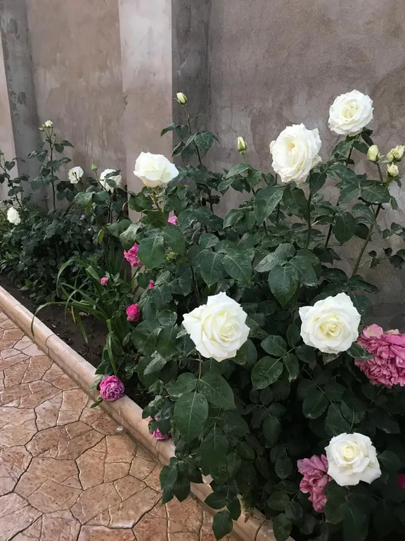 У берега моря новая уютная дача