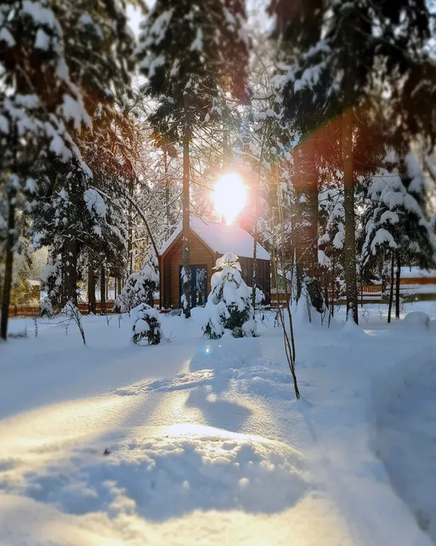 Барнхаус в лесу