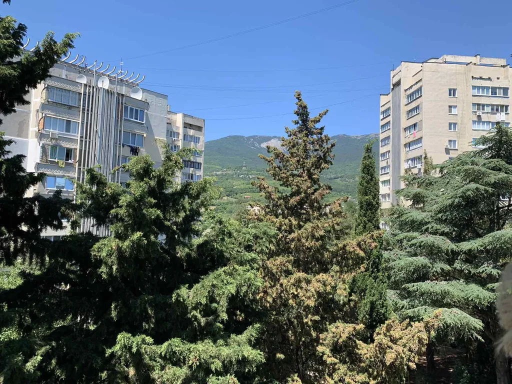 Квартира рядом парк Айвазовское