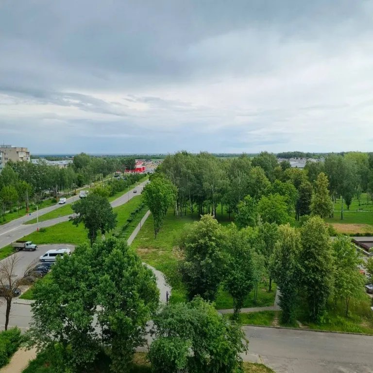 Квартира студия с видом на парк