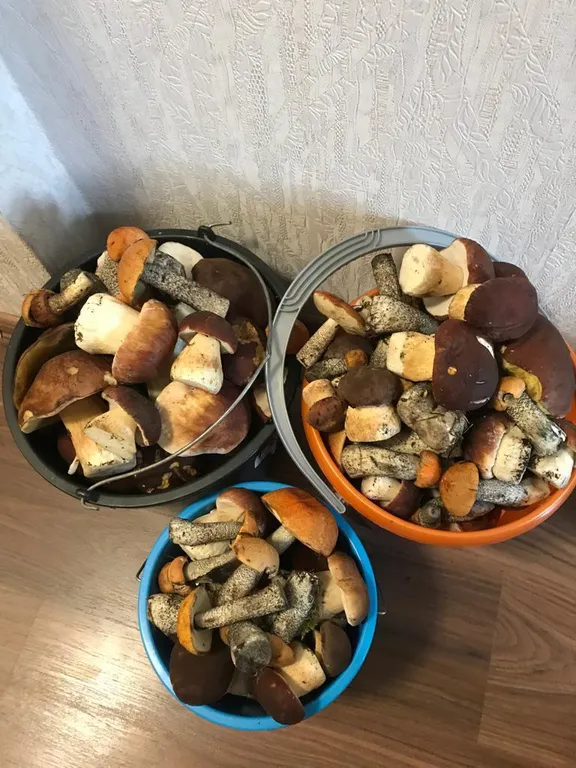 Коттедж Загородный дом у Невы — Санкт-Петербург