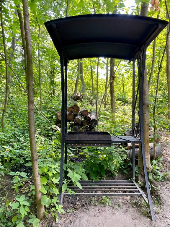 Сфера "Семейная" с сибирсикм чаном