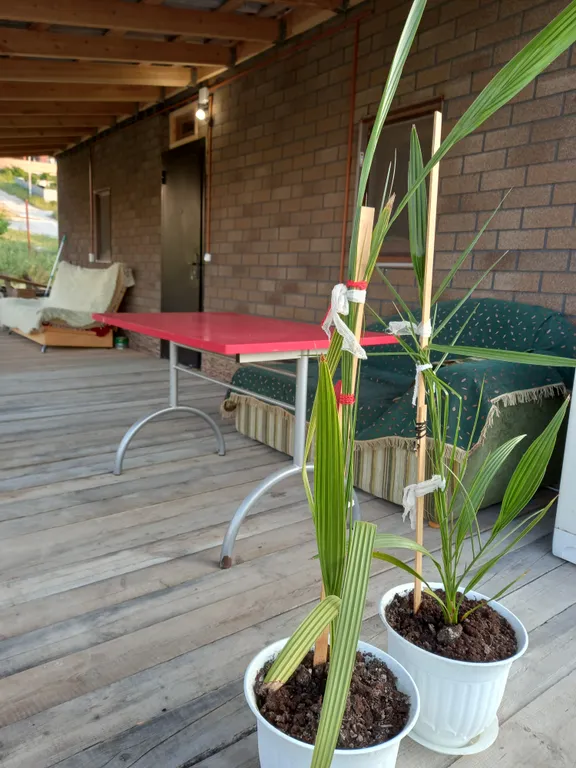 Отдых в уютном, уединенном домике на 6 сотках.