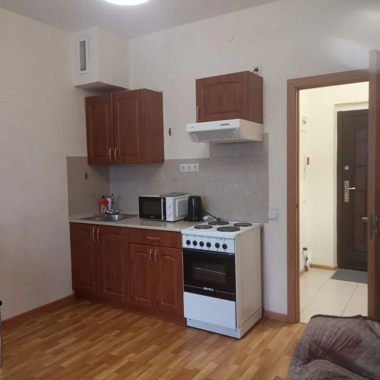 Квартира Студия Михайловская — аренда посуточно в Псков