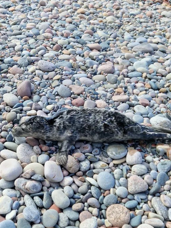 Стильная квартира рядом с морем