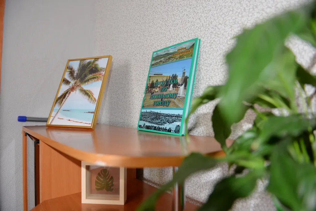 Квартира Квартира Настроение - отпуск — Красноярск