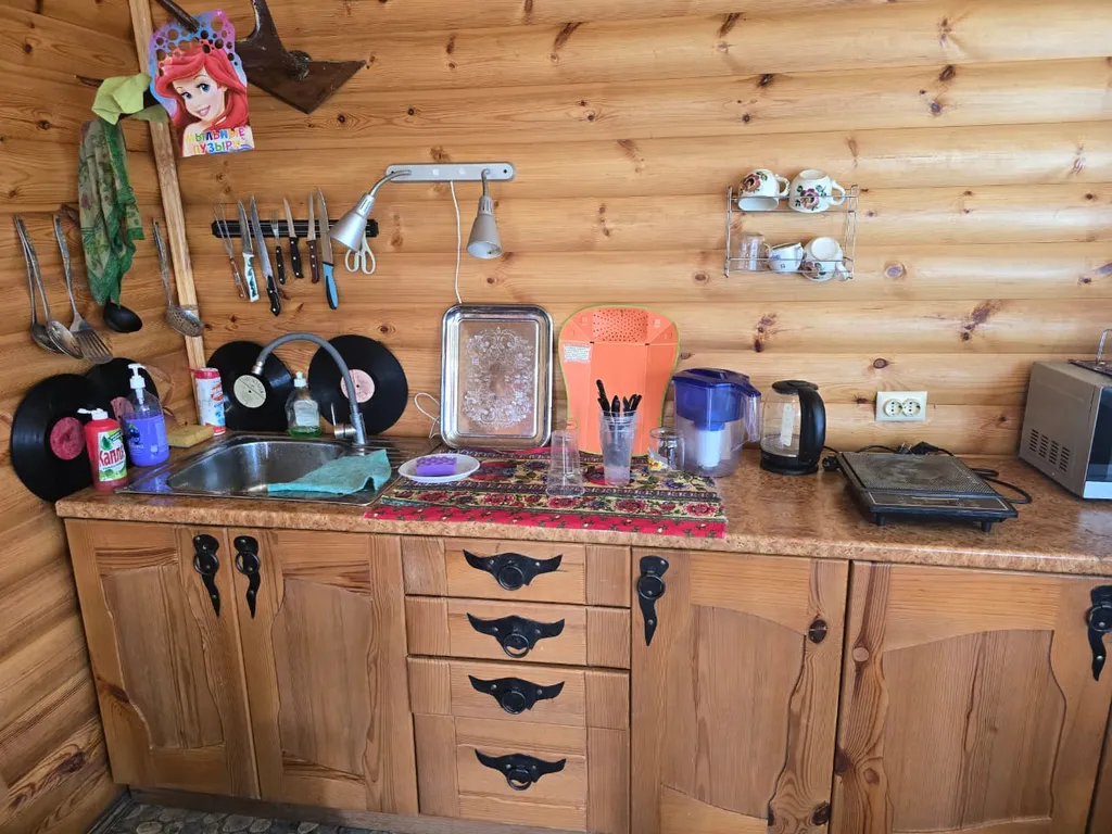 Дом с баней на озере