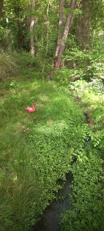 Уютный дом возле моря недалеко от уникального лианового леса