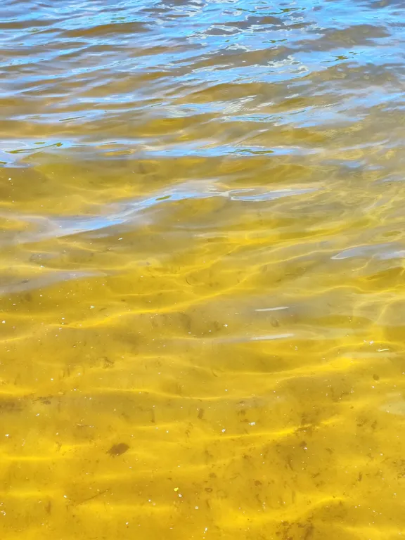 Домик в Токсово около озера