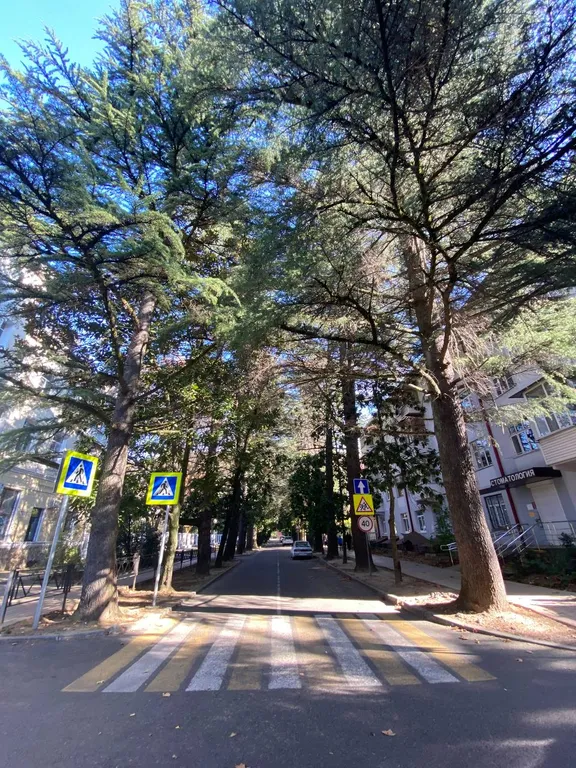 Best apartment in Khosta