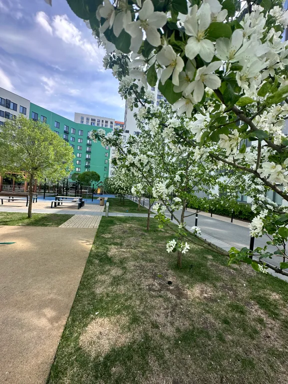 Квартира Студия ЖК Европейский — Тюмень