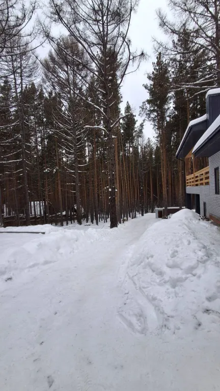 Перезагрузка в лесу