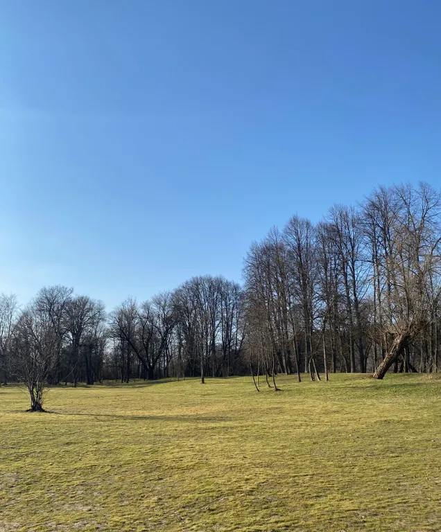 Уютный домик с сауной возле реки Ока