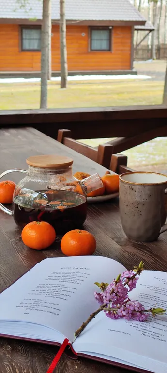 Коттедж Кивач с сауной и видом на озеро