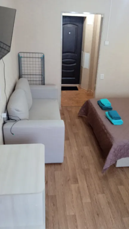 Уютная студия с видом на гору Железную и каскадную лестницу