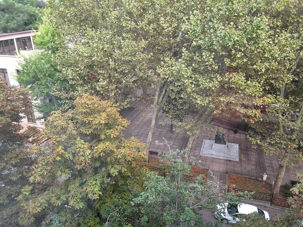 Квартира в центре