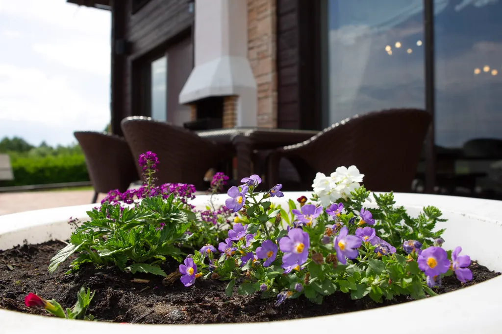 Вилла в Беларуси на озере Мядель