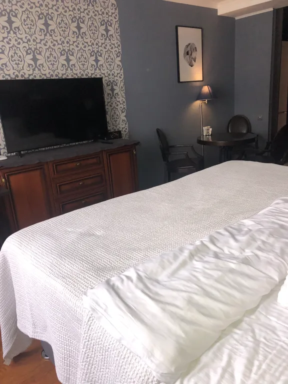 Студия-гостиничный номер в Александровском парке