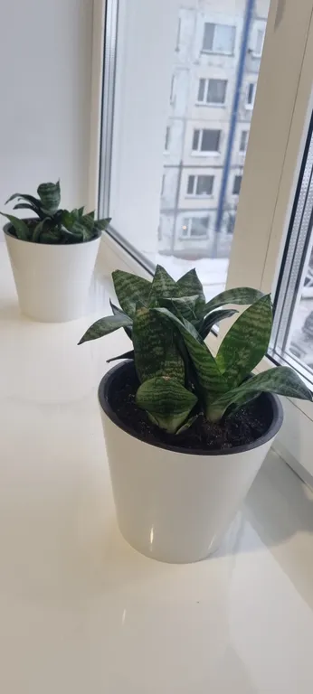 Уютная квартира с видом на бухту