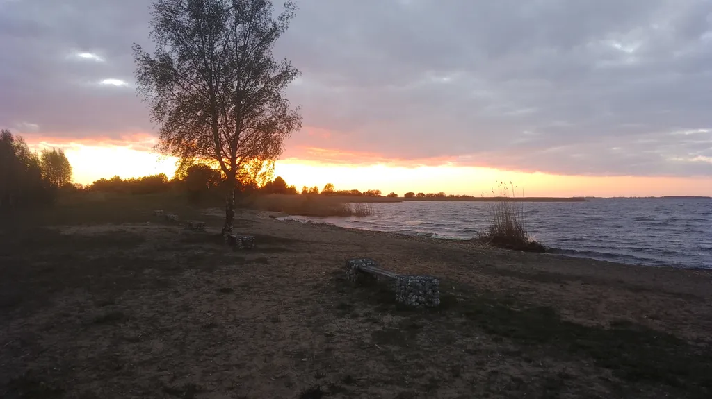 Эко Таунхаус Хитрый Лис Парк