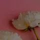 Марина
