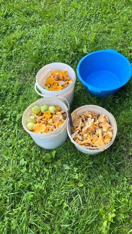 Дом с баней на Браславских озерах