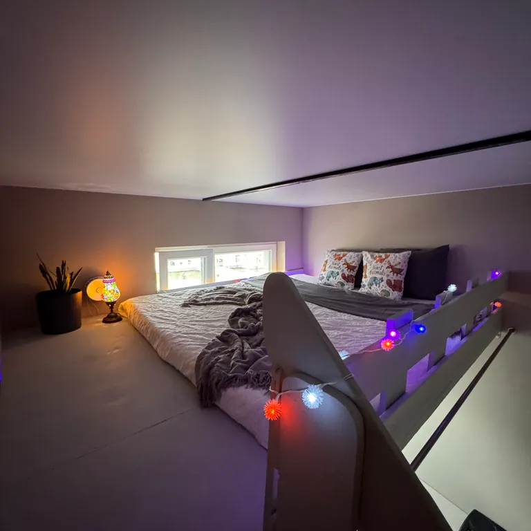 Квартира Фантастическая квартира с видом на Финский залив и лебедями из окна — Санкт-Петербург