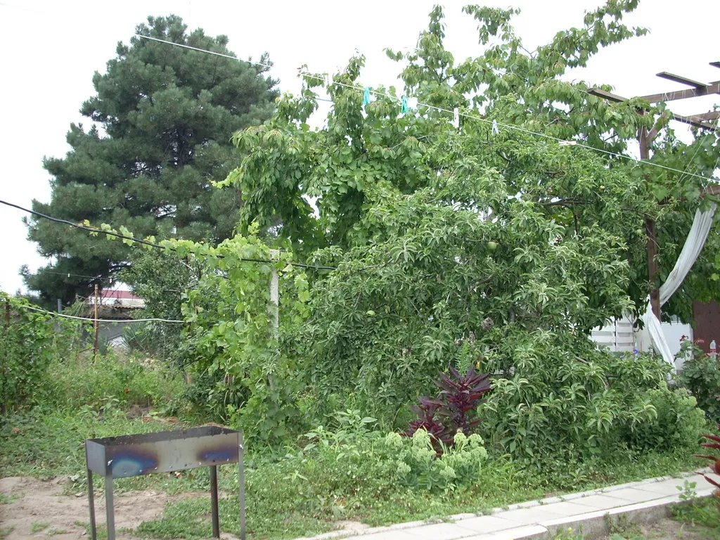 Дом с садом, частный сектор