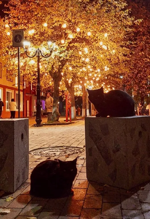 Кранц-престиж в центре у моря