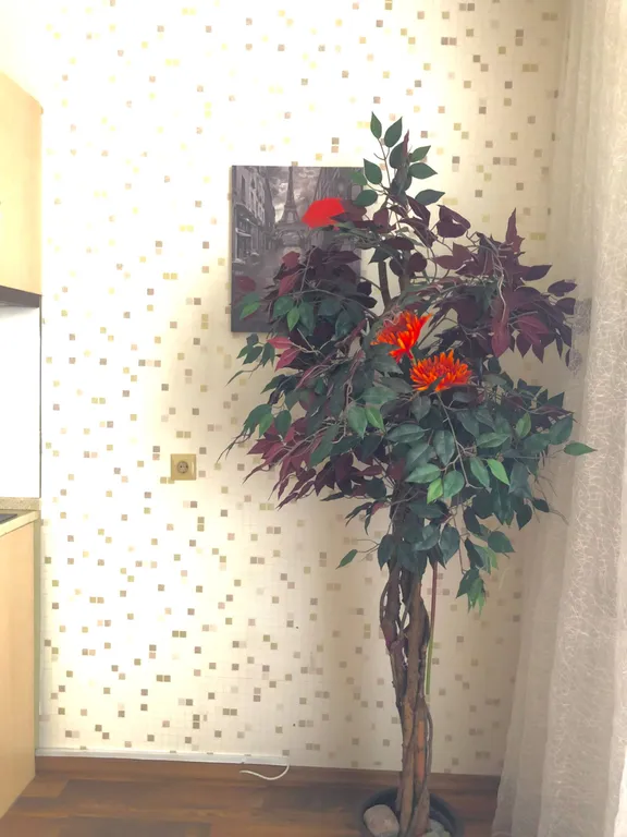 Квартира Квартира с шикарным видом — Калининград