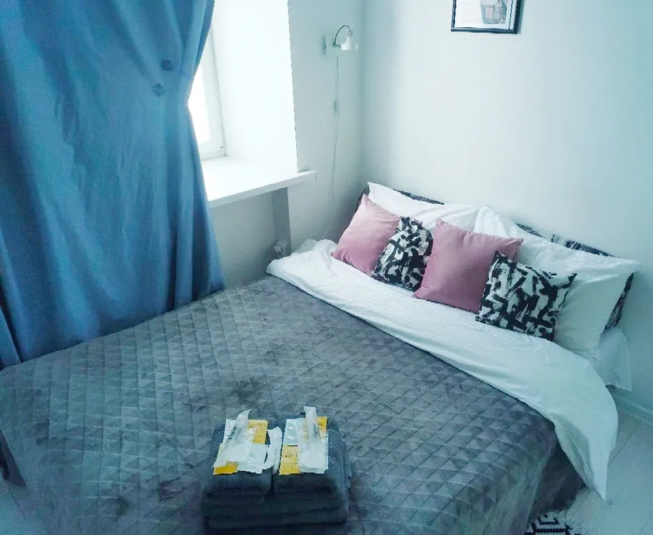 Чистая, уютная квартира-студия в центре города — аренда посуточно в Серпухов