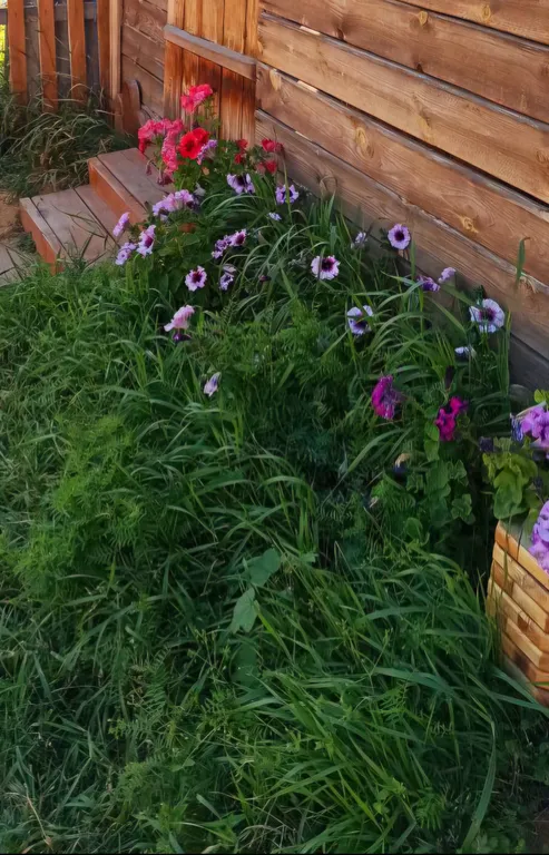 Двухместная бюджетная комната в домике