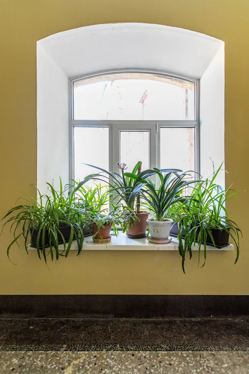 Квартира Дизайн-квартира с уникальной арт-инсталляцией — Санкт-Петербург