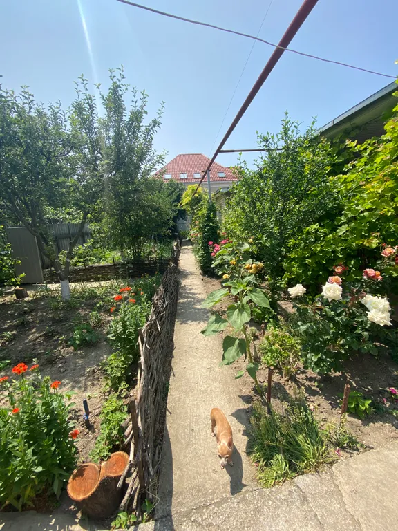 Уютный дом на 1 линии самого чистого пляжа в городе