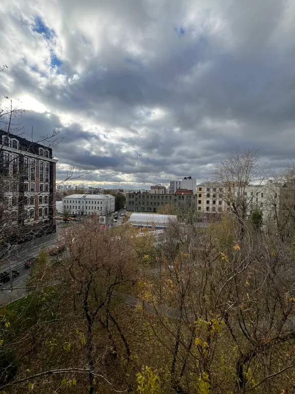 Городские джунгли с идеальным расположением