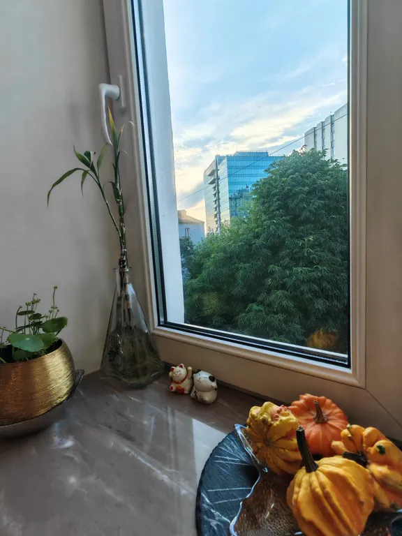 2-комнатная сталинка с террасой в ультрацентре с парковочным местом