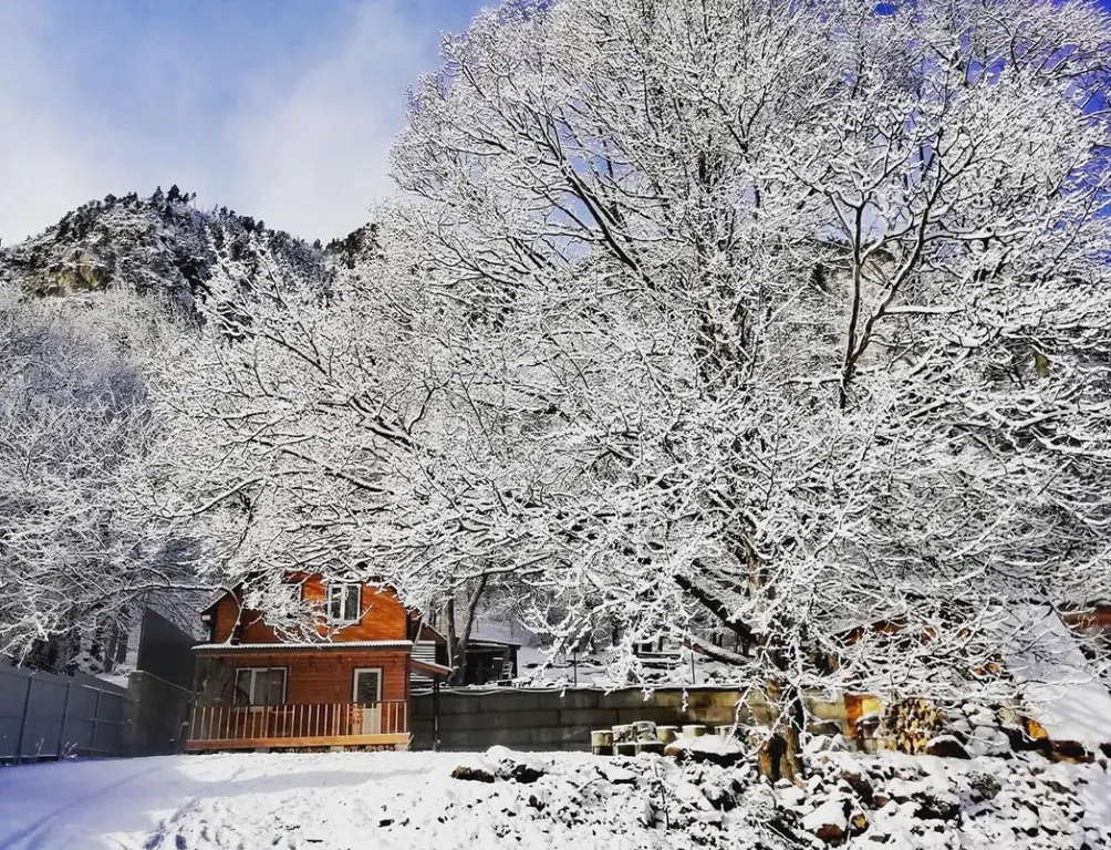 3-комнатный Дом