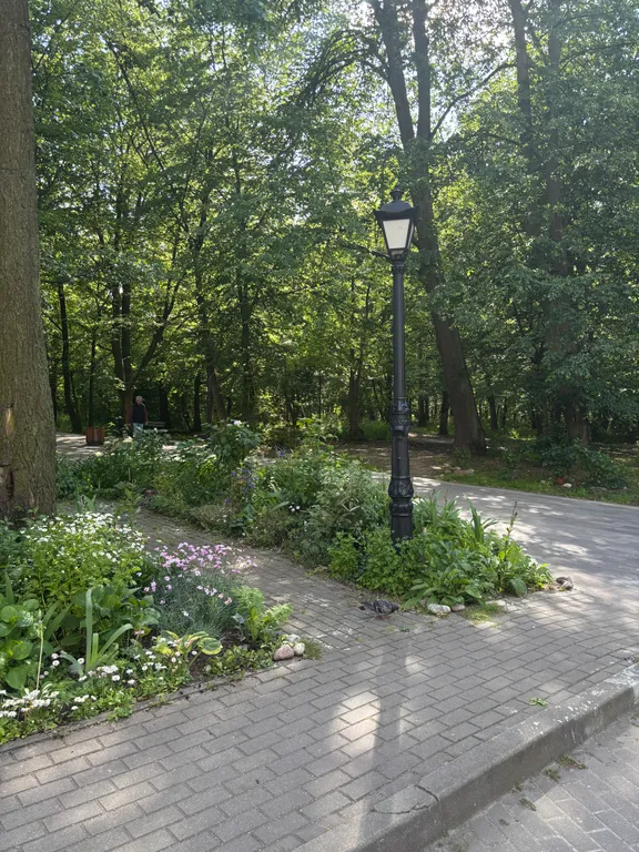 Студия на побережье Балтийского моря