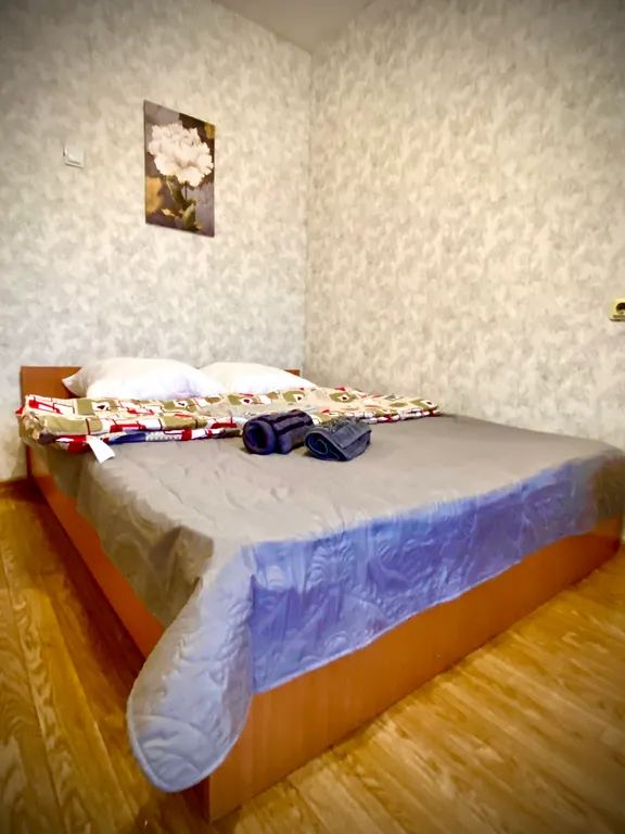 Уютная по-домашнему квартира возле Планеты