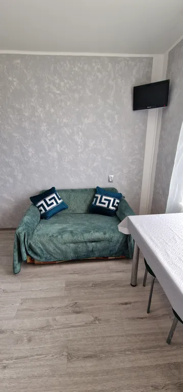 Большая уютная квартира с удобным расположением