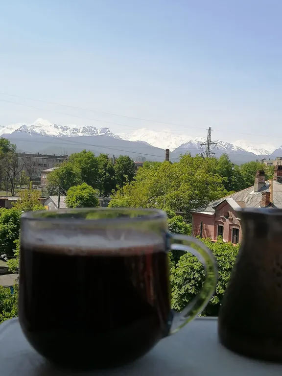 Апартамент с видом на горы