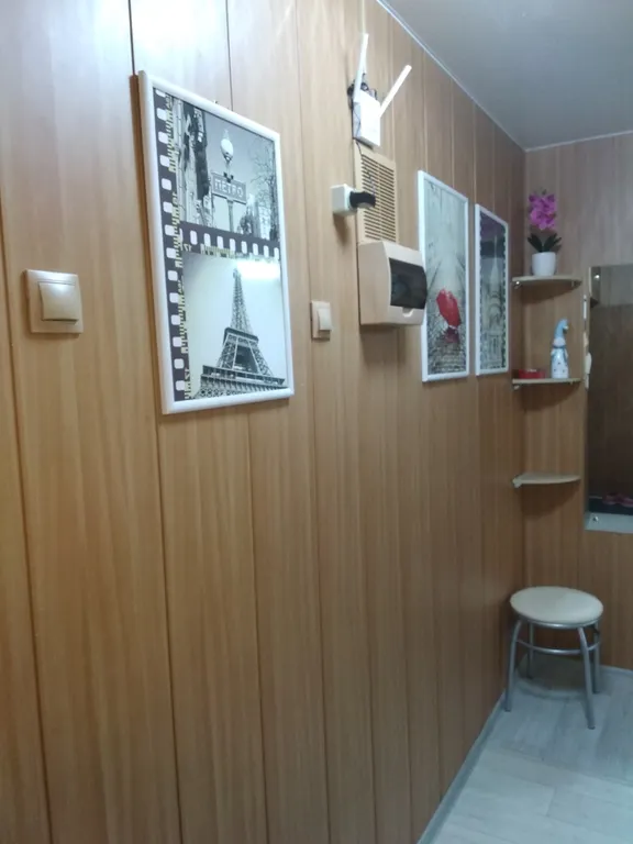 Уютная однокомнатная квартира