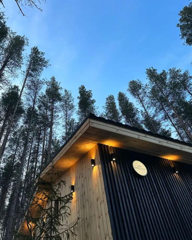 Домик в лесу с панорамными окнами