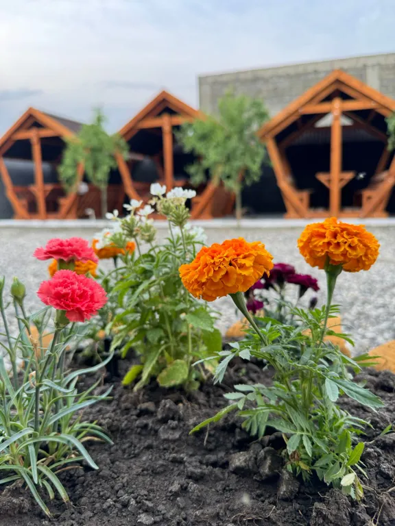 Гостевой дом Дагестан