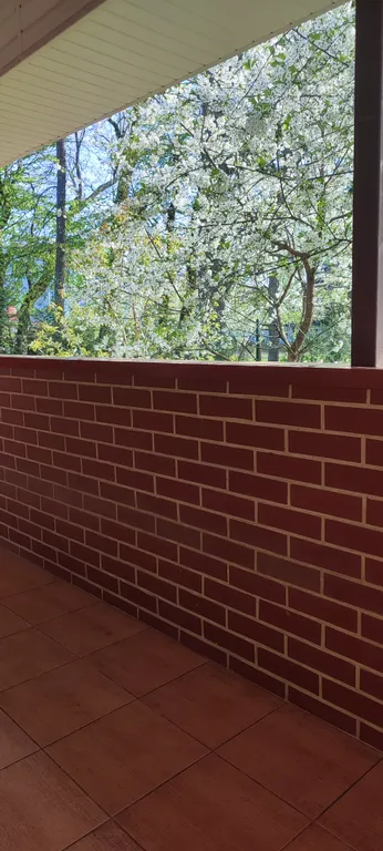 Весь первый уютный этаж с видом на природу