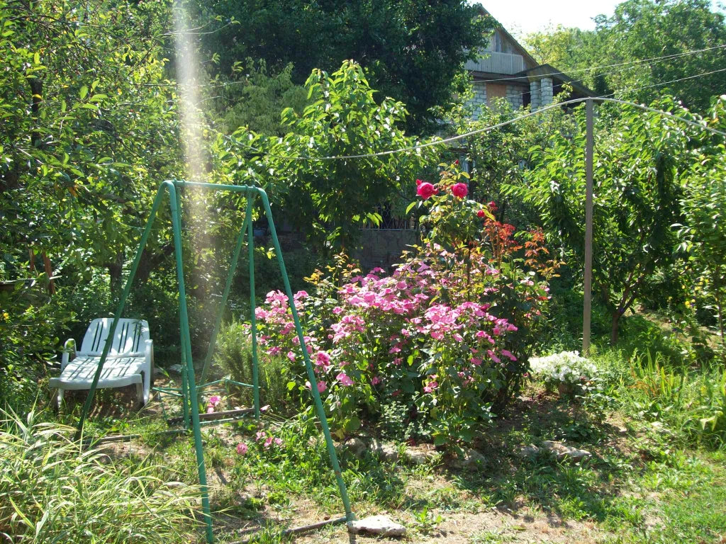 Номер гостевого дома с уютным крымским двориком